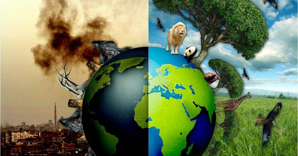 Memahami Proses Alami Tubuh dalam Perjalanan Kehidupan